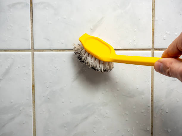 Best Commercial Mold Remediation in Painted Post, NY