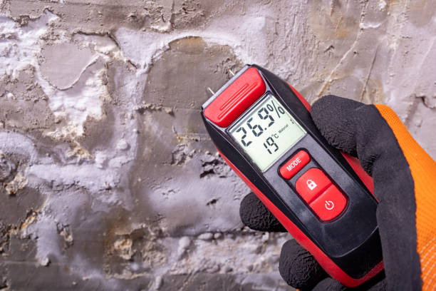 Best Post-Flood Mold Remediation in Painted Post, NY